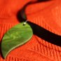 Simple Green Leaf