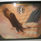  "Spread Winged Eagle in Flight" Picture Clock
