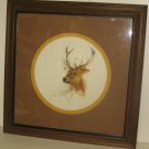  "Whitetail" Painting