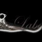Power Driven S2000 Header (Stainless Steel Finish)