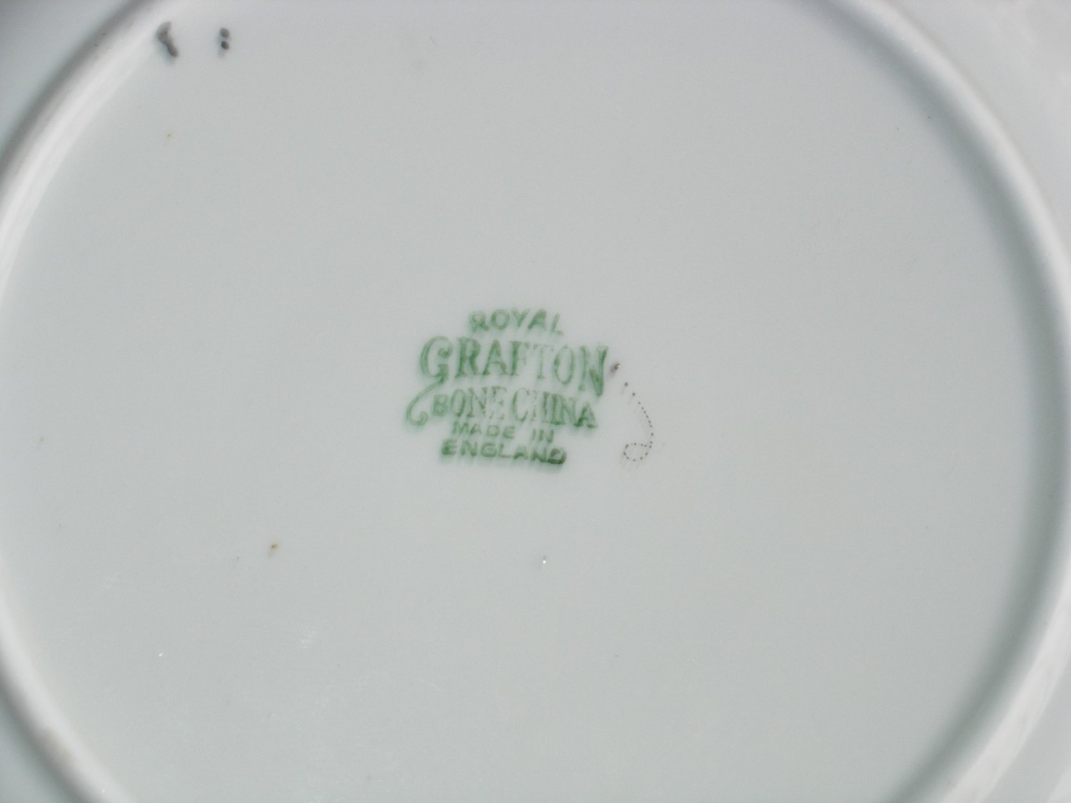 Royal Grafton Bone China Salad Plate with Rose Pattern