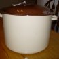 Vintage Tan Porcelain Enamelware Stock Pot with Brown Trim
