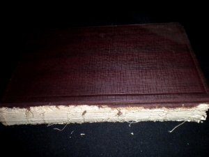 The Glands Regulating Personality by Louis Berman - Antique 1928 Hardcover Book