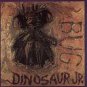 Bug by Dinosaur Jr. (CD, Oct-1988, SST) J Mascis Classic RARE ORIGINAL Disc Only
