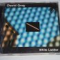 White Ladder [ECD] by David Gray (CD, Mar-2000, ATO Records / BMG) Enhanced Disc