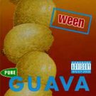 Pure Guava [PA] by Ween (CD, Nov-1992, Elektra) Original Classic Album DISC ONLY