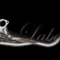Power Driven F Series S2000 Header (Stainless Steel Finish)