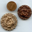 2 celluloid plant life buttons