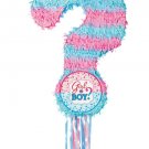 Girl or Boy Gender Reveal Pull String Pinata - Baby Shower Party Supplies