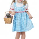 Dorothy Wizard of Oz Costume - Toddler