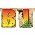 Dino Blast Jointed Banner