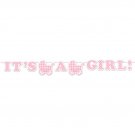It's a Girl Gingham Ribbon Banner - Baby Shower Party Supplies