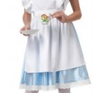 Alice in Wonderland Costume - Adult