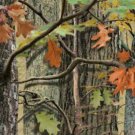 Hunting Camo Luncheon Napkins