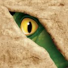 Dino Blast Beverage Napkins - Birthday Party Supplies