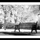 A4 Framed Landscape Print - A Place To Sit