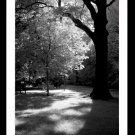 A4 Framed Landscape Print - An Afternoon In The Park