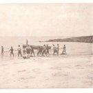 Net Fishing-Sierra Leone