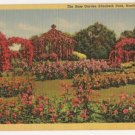 Rose Garden-Elizabeth Park-Hartford Connecticut