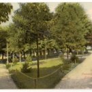 View in Summit Park-Utica New York Postcard