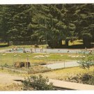 Brooktrails at Willits California