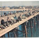 Fishing on the Newport Pier-Newport Balboa California