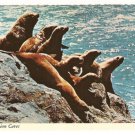 Sea Lions Cave-Oregon Coast