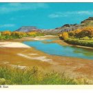 Rio Grande River New Mexico Postcard