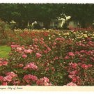 Portland Oregon-City of Roses