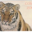 Siberian Tiger-Como Zoo-St Paul Minnesota