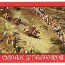 Omak Stampede-Omak Washington