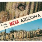 Howdy from Mesa Arizona