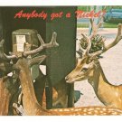 Deer-Aquaglades Park-Ft Lauderdale Florida