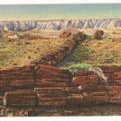 The Twin Sisters-Petrified Forest Arizona