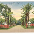 Anseman Drive in City Park-New Orleans Louisiana