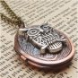 Steampunk Owl Locket Necklace Vintage Style Original Design