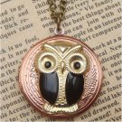 Steampunk Owl Locket Necklace Vintage Style Original Design