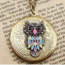 Steampunk Owl Locket Necklace Vintage Style Original Design
