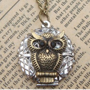 Steampunk Owl Locket Necklace Vintage Style Original Design