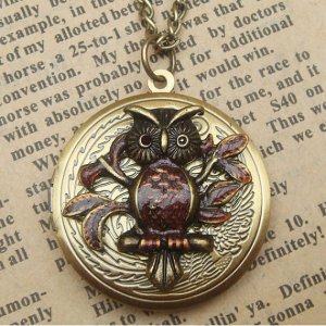 Steampunk Owl Locket Necklace Vintage Style Original Design