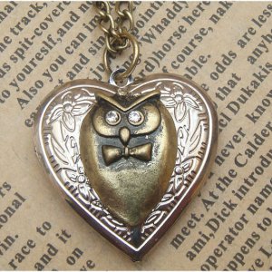 Steampunk Owl Heart Locket Necklace Vintage Style Original Design