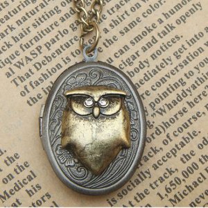 Steampunk Owl Locket Necklace Vintage Style Original Design
