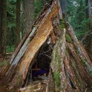 Wilderness Survival Guide Books CD Gear,Food,Tools,etc Self-Reliance, Edible Plants