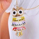 Colorful Owl pendant Sweater Chain Necklace