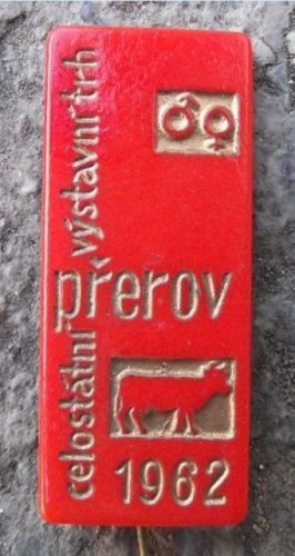 1962 Antique Bakelite type Hard Plastic Cattle & Cow Breeders Show & Fair Pin