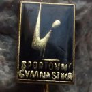 Sports Gymnastics Leg Exercise Pommel Horse Czechoslovak Sports Pin