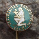 University of Agriculture in Brno Mendel Mother Earth Woman & Plant Motif Pin