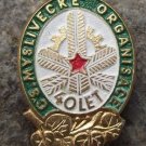 Czech Hunting Association CSMO Myslivecke Organisace 40th Anniversary Pin