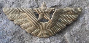Antique Czech Airlines CSA Pilot Hat Gold Uniform Wings former Czechoslovakia