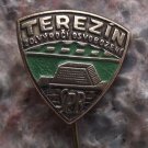 1965 Terezin Theresienst Nazi Concentration Camp 20th Anniversary Pin Green Gold